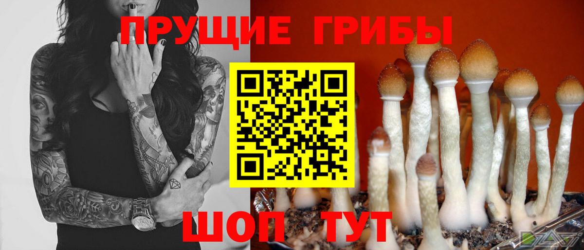 Псилоцибиновые грибы Psilocybe  Псилоцибиновые грибы Psilocybine cubensis  Воронеж  Вход с VPN 