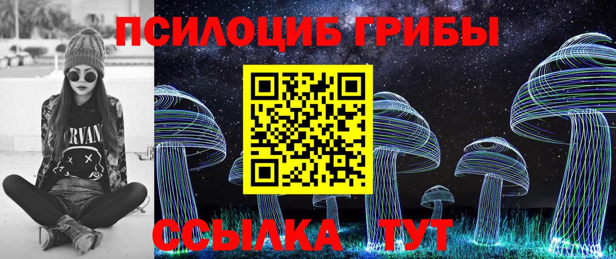 Галлюциногенные грибы GOLDEN TEACHER Воронеж